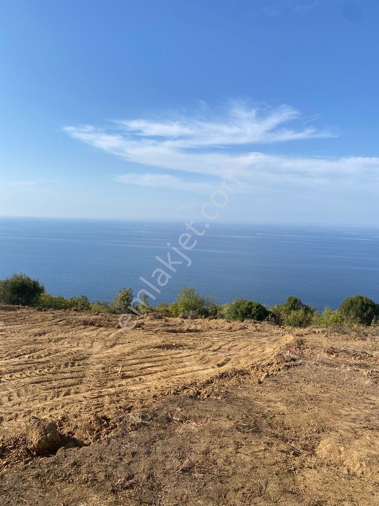 Yalova Çınacık Esenköyde Full Deniz Manzaralı Satılık 458m2 Arsa - Görsel 11