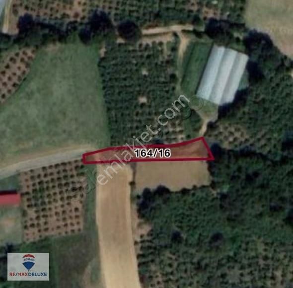 Kandıra Nefsi Yadeş'te İmara Cephe 587 M2 Satılık Tarla