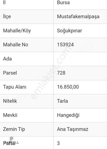 Bursa M.kemal Paşa Soğukpınarda Satılık Tarla - Görsel 3