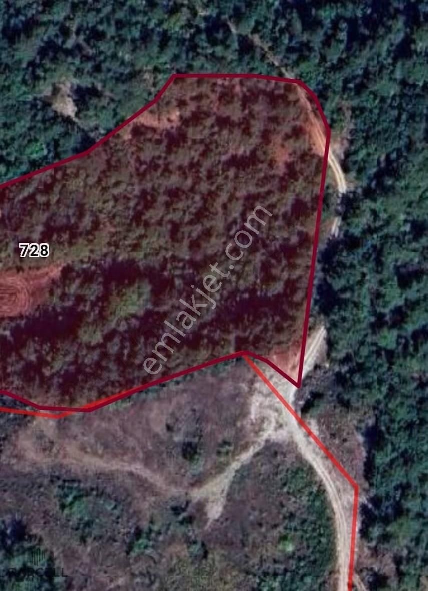 Bursa M.kemal Paşa Soğukpınarda Satılık Tarla - Görsel 2