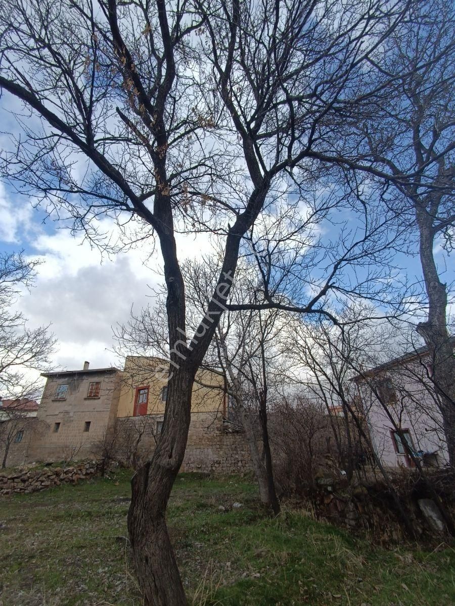 Pratik Den// Muhteşem Vadi Manzaralı 2 Parça Bahçe - Görsel 23