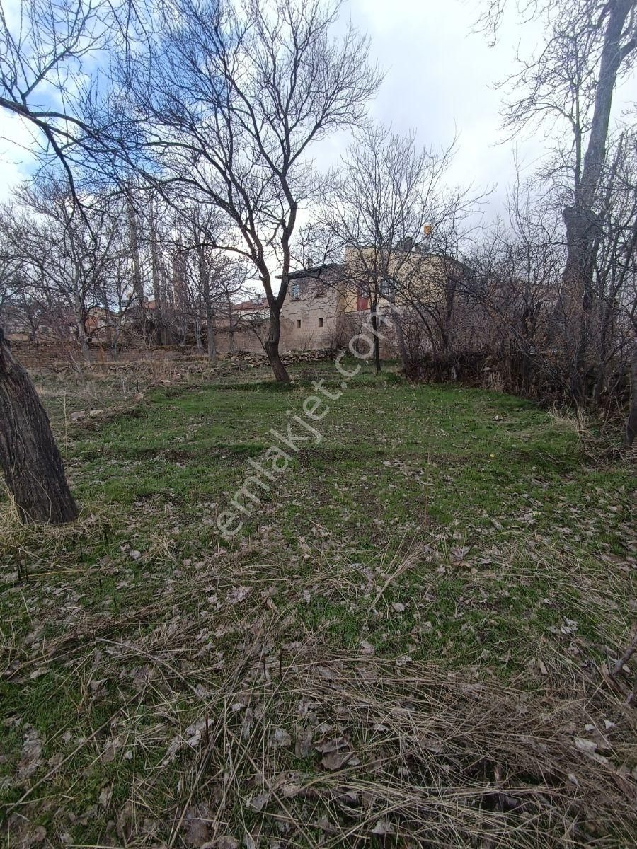 Pratik Den// Muhteşem Vadi Manzaralı 2 Parça Bahçe - Görsel 14