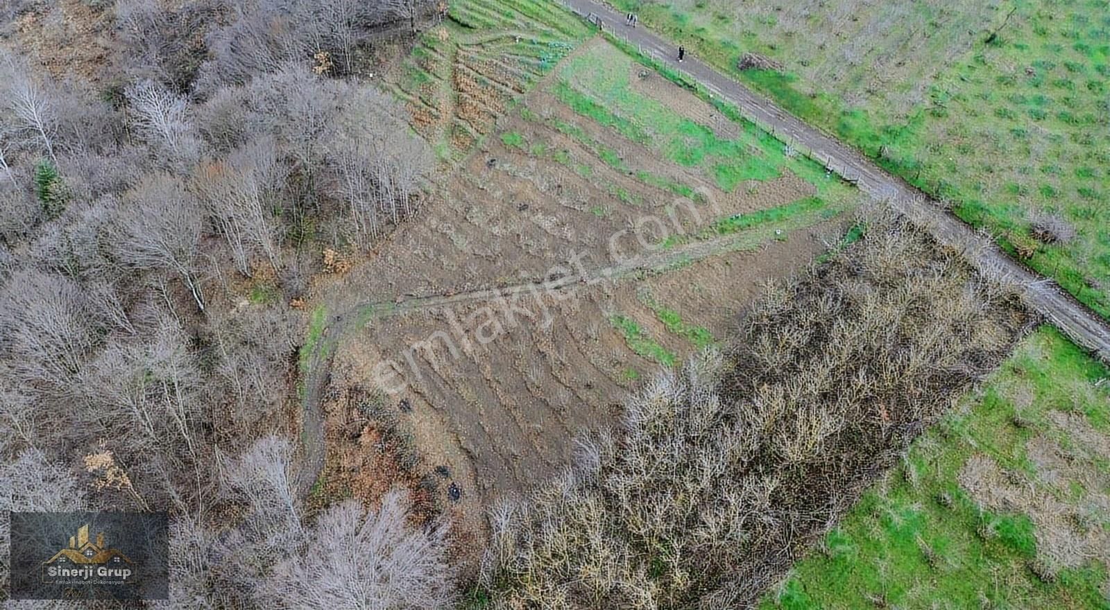 Siner Gayrimenkul'den Bıçkıatik'te 1.297 M² Satılık Arsa - Görsel 10