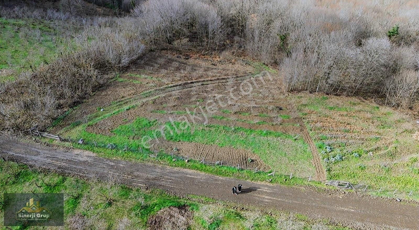 Siner Gayrimenkul'den Bıçkıatik'te 1.297 M² Satılık Arsa - Görsel 6