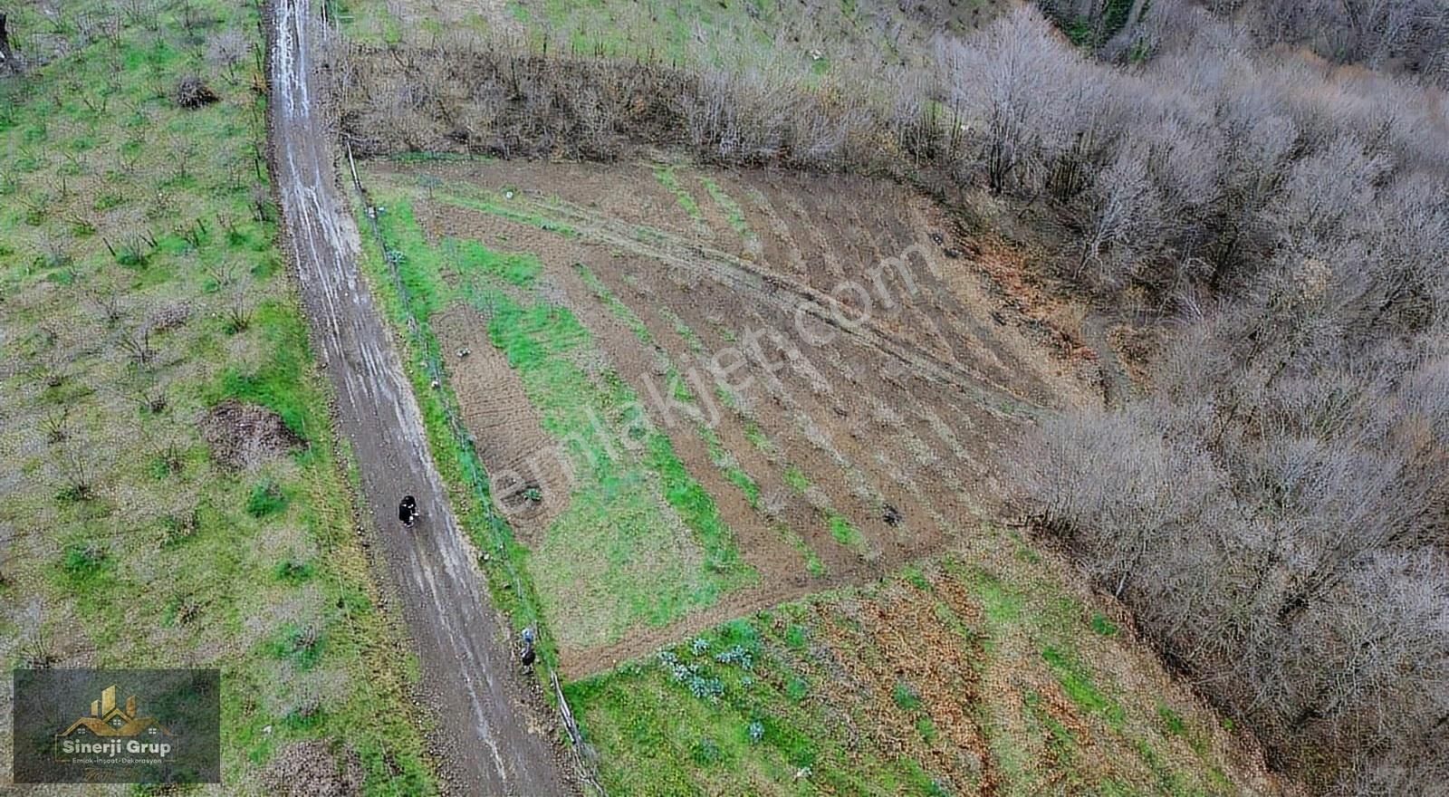 Siner Gayrimenkul'den Bıçkıatik'te 1.297 M² Satılık Arsa - Görsel 4