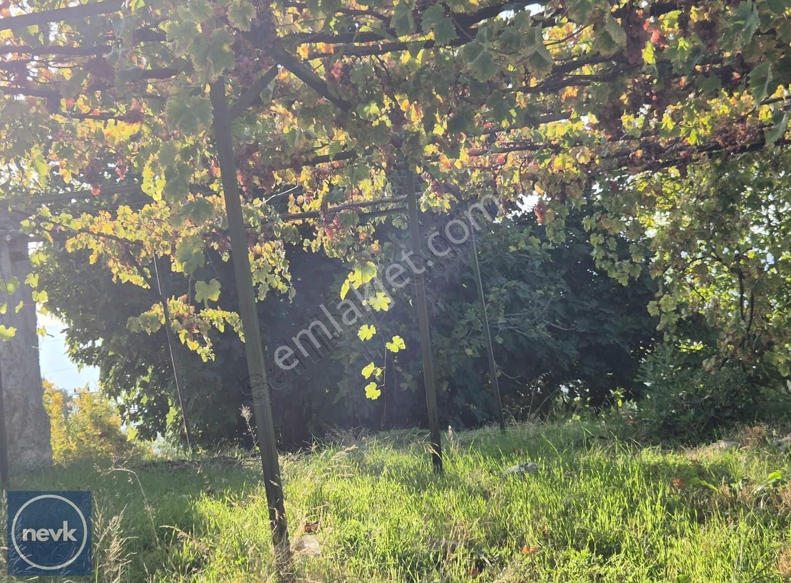 Nevk Yatırımdan Tapuya Kayıtlı 2 Ev Ve Tarlası - Görsel 7