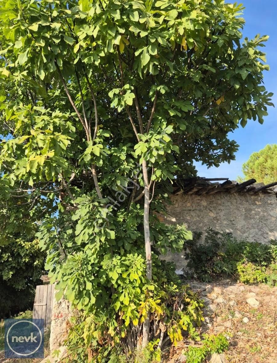 Nevk Yatırımdan Tapuya Kayıtlı 2 Ev Ve Tarlası - Görsel 11