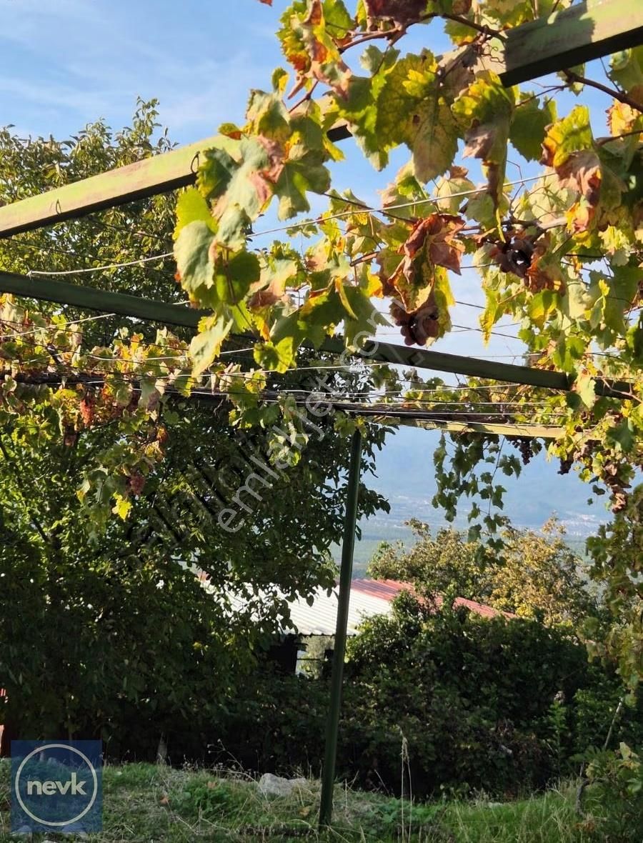 Nevk Yatırımdan Tapuya Kayıtlı 2 Ev Ve Tarlası - Görsel 10