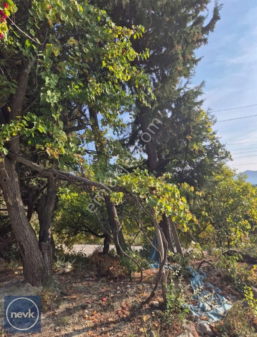 Nevk Yatırımdan Tapuya Kayıtlı 2 Ev Ve Tarlası - Görsel 8