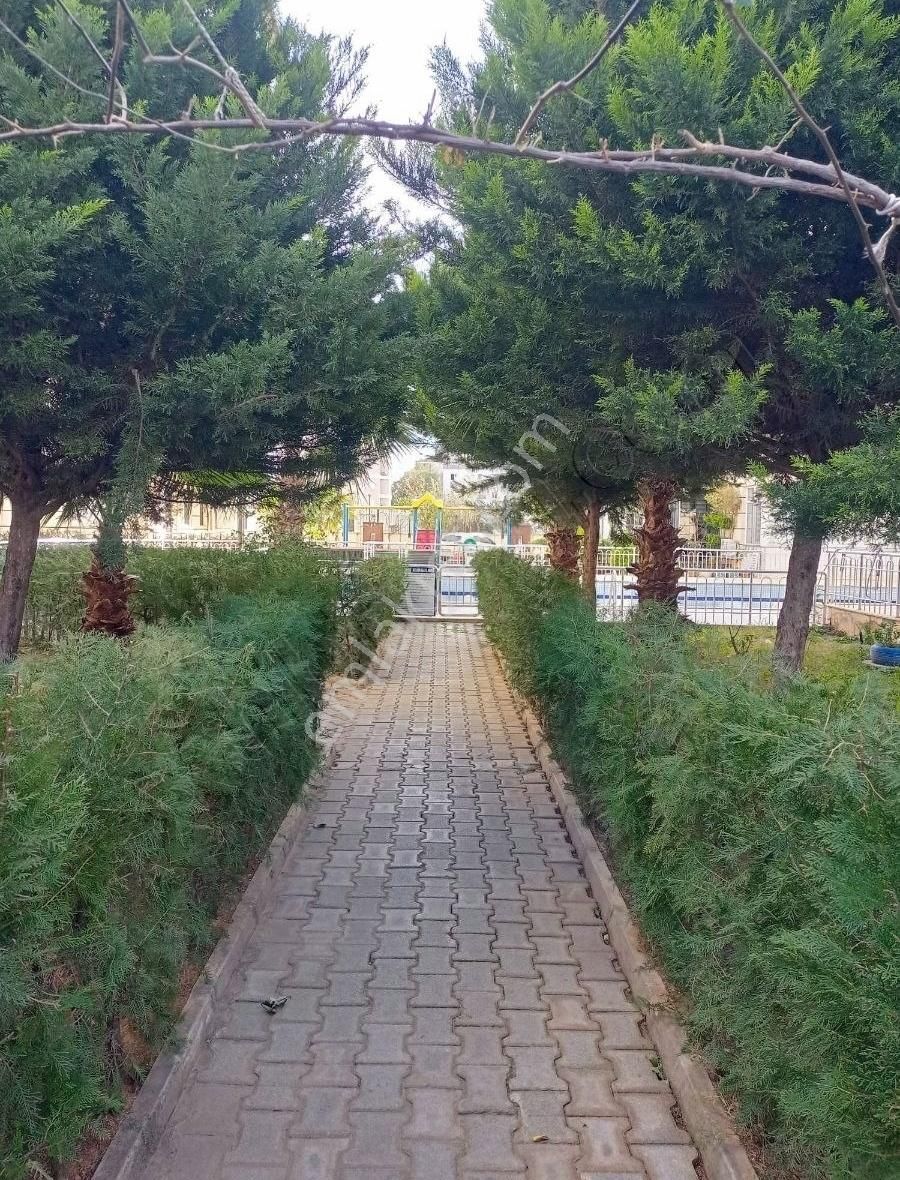 Kiralık Eşyalı Daire Şelale Mah Kanalbouyunda Eşyalı - Görsel 7