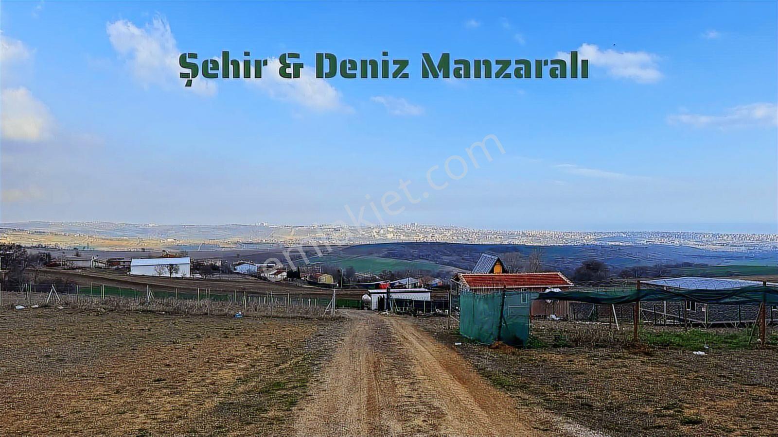 Yuşa'dan Köy İçinde Deniz Manzaralı Arsa | Süleymanpaşa Yağcı - Görsel 8