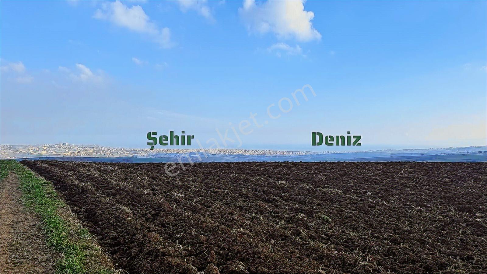Yuşa'dan Köy İçinde Deniz Manzaralı Arsa | Süleymanpaşa Yağcı - Görsel 17