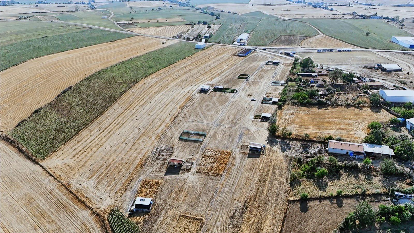 Yuşa'dan Köy İçinde Deniz Manzaralı Arsa | Süleymanpaşa Yağcı - Görsel 13