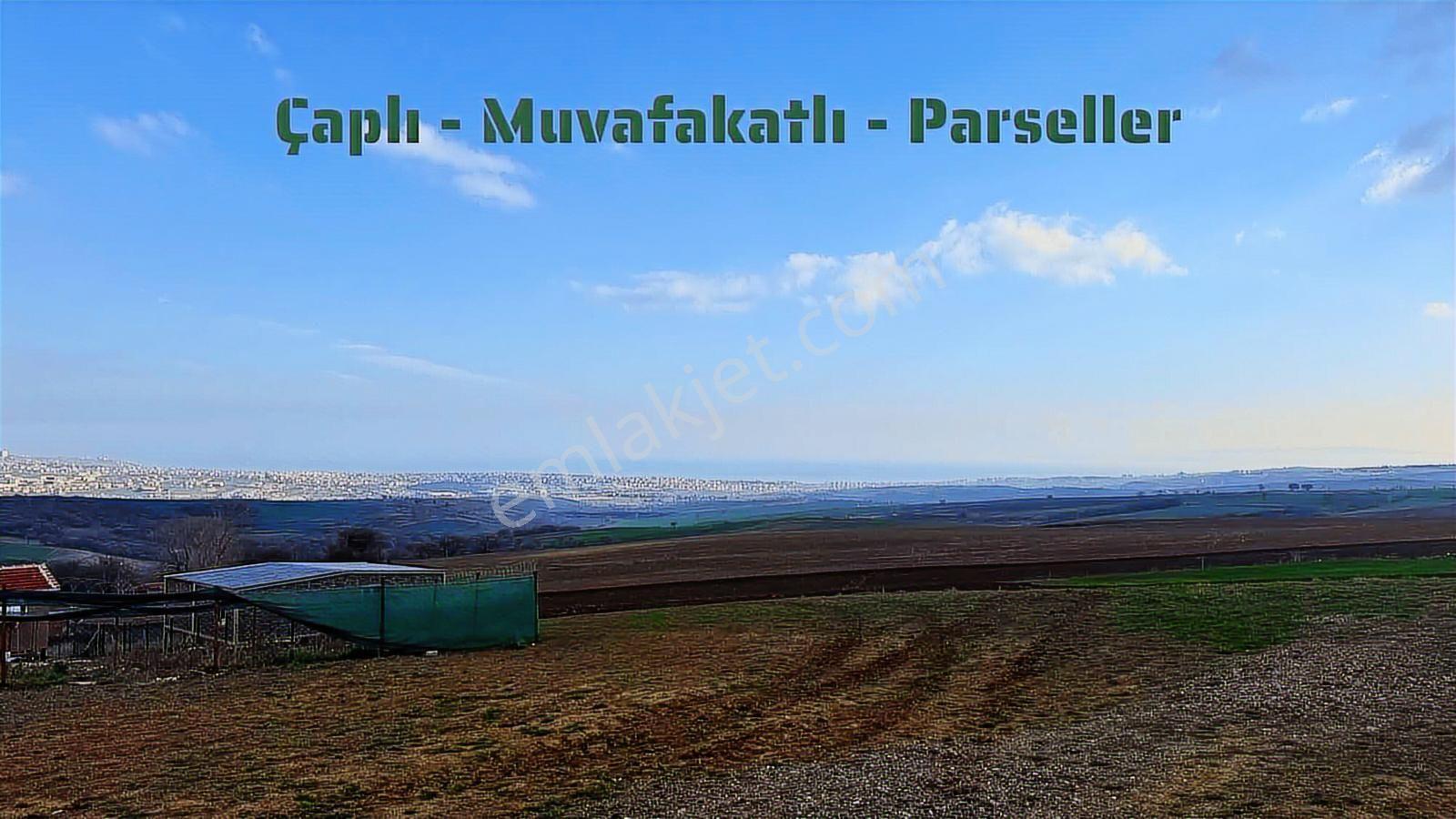 Yuşa'dan Köy İçinde Deniz Manzaralı Arsa | Süleymanpaşa Yağcı - Görsel 9