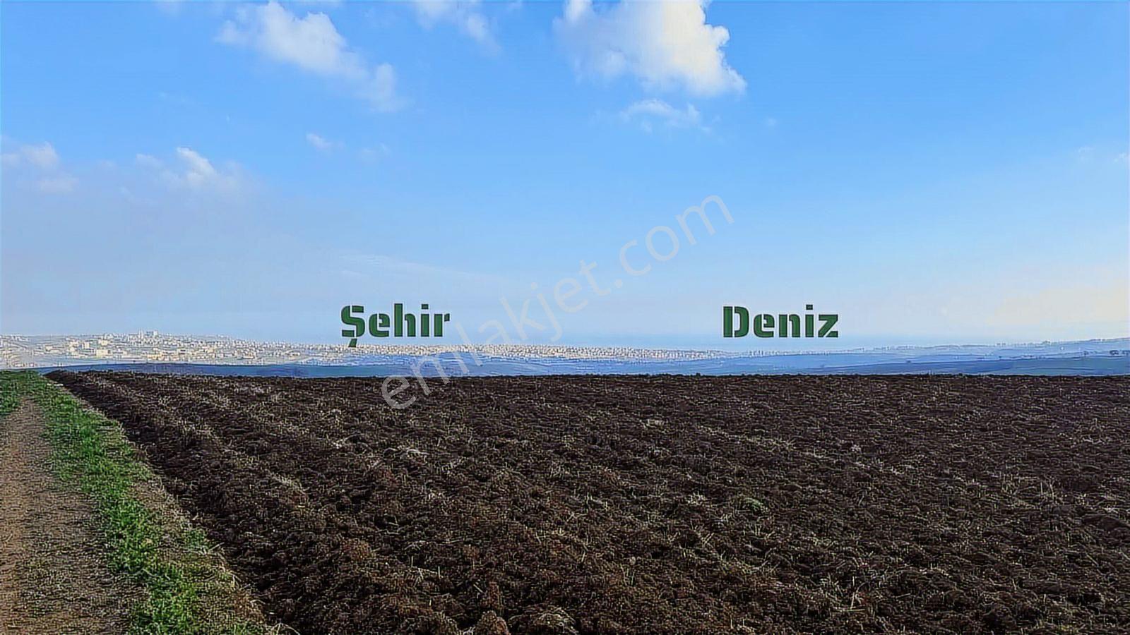 Yuşa'dan Köy İçinde Deniz Manzaralı Arsa | Süleymanpaşa Yağcı - Görsel 10