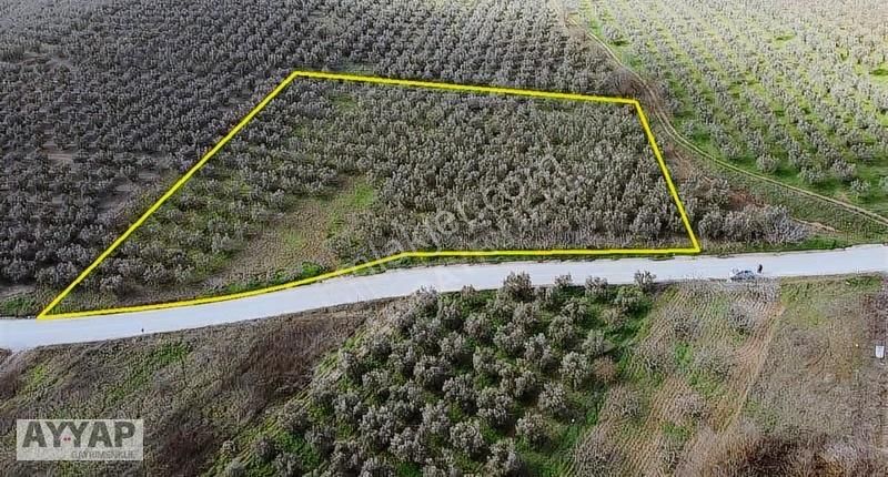 Ayyap Gayrımenkul 'den Mürsel'de 10.400m2 Asfalta Cephe Tarla - Görsel 3