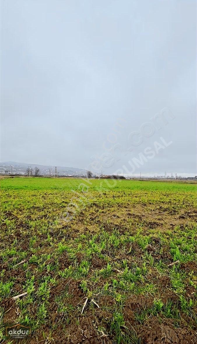 Akdur'dan Tekkeköy'de Lojistiğin Yanında 4730 M2 Ticari Arsa - Görsel 8