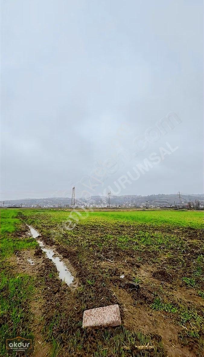 Akdur'dan Tekkeköy'de Lojistiğin Yanında 4730 M2 Ticari Arsa - Görsel 12