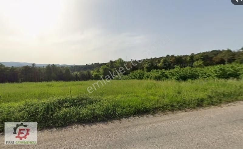 Kandıra Akçaovada Ana Yola 2 Parsel Yatırımlık Arsa