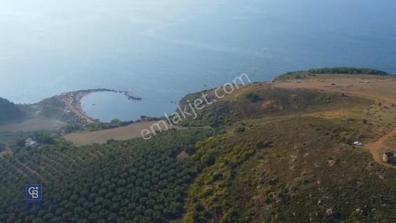 Mudanya Yel Değirmeni Kapanca Antik Limanı Yanı Kaçmaz Fırsat - Görsel 3