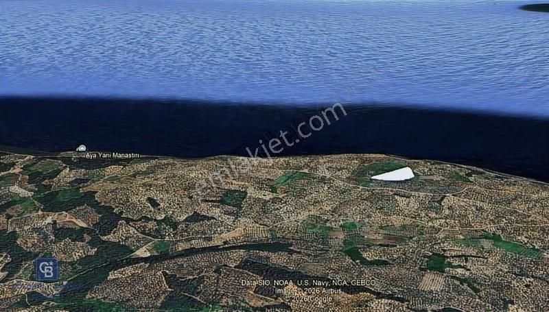 Bursa Mudanya Halilbey'de Yatırımlık Tarla Değerli Lokasyonda - Görsel 3