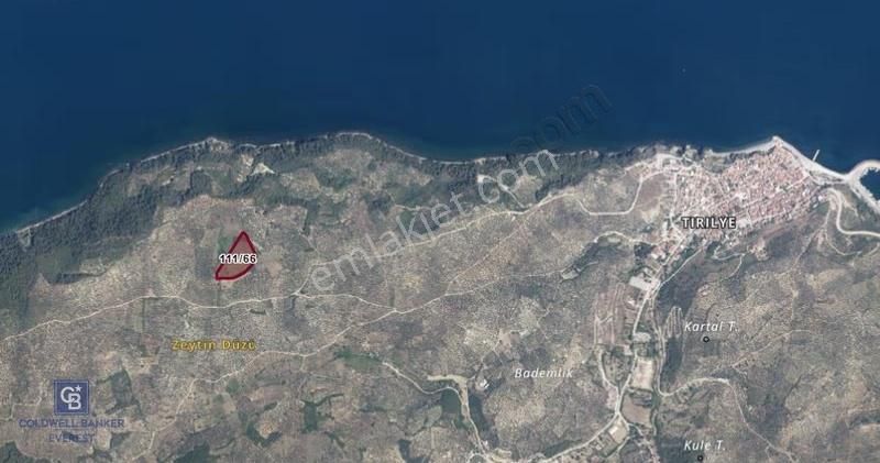 Bursa Mudanya Halilbey'de Yatırımlık Tarla Değerli Lokasyonda - Görsel 2