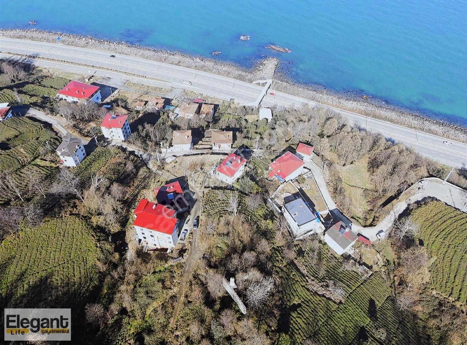Derepazarı Sandıktaş'ta Deniz Manzaralı Satılık Çay Bahçesi!! - Görsel 10