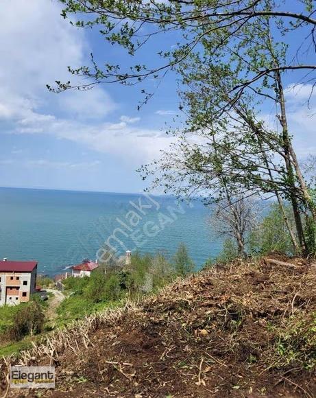 Derepazarı Sandıktaş'ta Deniz Manzaralı Satılık Çay Bahçesi!!