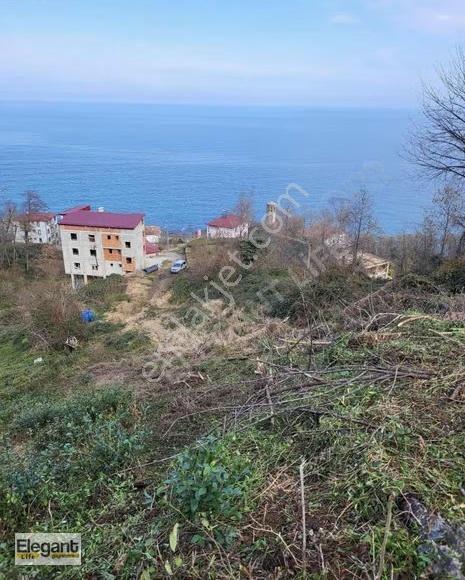 Derepazarı Sandıktaş'ta Deniz Manzaralı Satılık Çay Bahçesi!! - Görsel 12