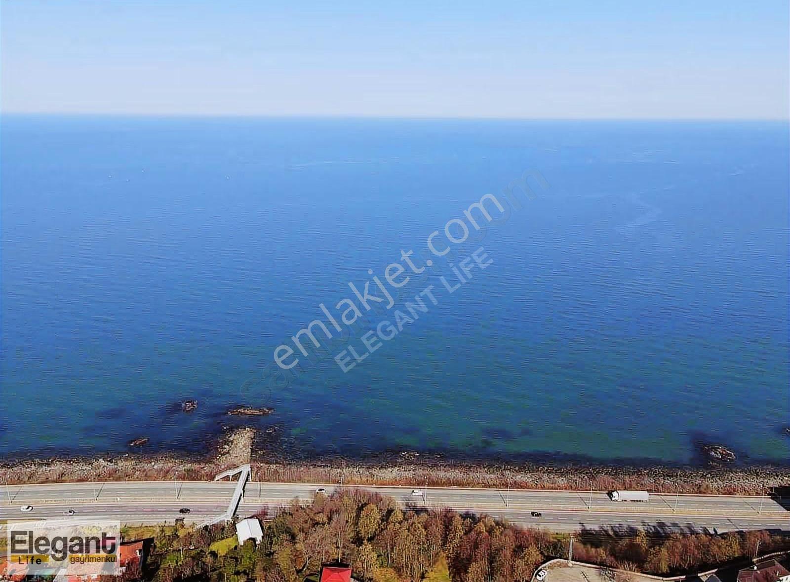 Derepazarı Sandıktaş'ta Deniz Manzaralı Satılık Çay Bahçesi!! - Görsel 4