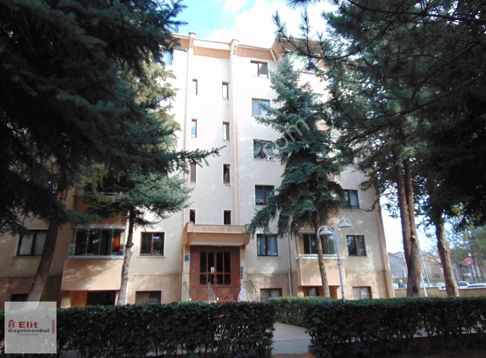 Elitten 3+1 Kombili Pazar Sarnıçparkyanı Burcu Sitesi Bakımlı - Görsel 2