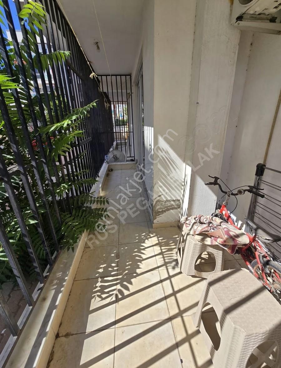 Kızılarık Mahallesi Kiralık Eşyasız 2+1 Daire - Görsel 5