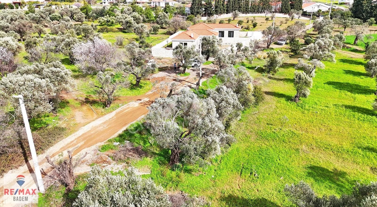 Kızlanda Denıze Yakın 500 M² Tarla | Yatırımlık Bademlık - Görsel 6