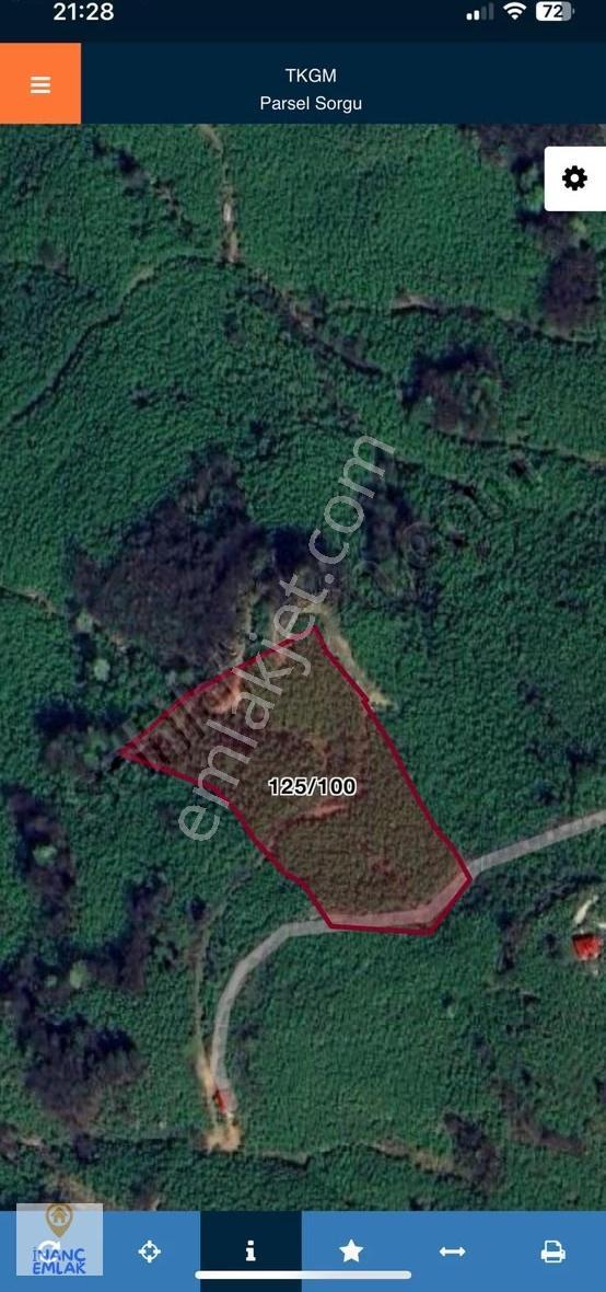 İnanç Emlaktan Giresun Ülper Köyünde Satılık Fındık Bahçesi - Görsel 5