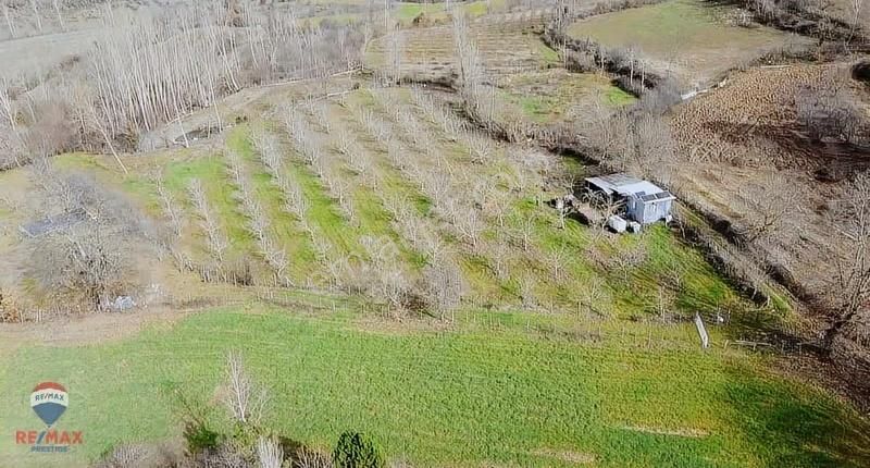 Çanakkale Çan Zeybekçayır Köyünde 6.635 M2 Tarla - Görsel 5