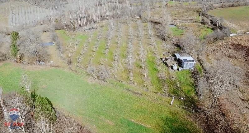 Çanakkale Çan Zeybekçayır Köyünde 6.635 M2 Tarla - Görsel 7