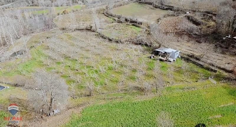 Çanakkale Çan Zeybekçayır Köyünde 6.635 M2 Tarla - Görsel 3