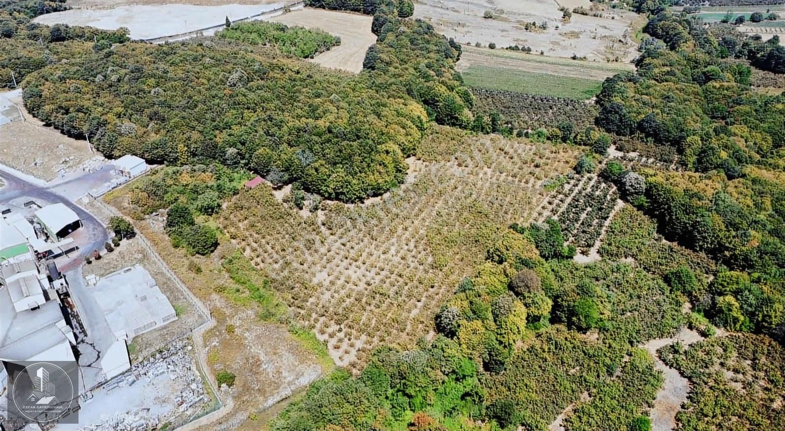 Söğütlü Organize Sanayi Bölgesi Yanı 12.600 M2 Arsa - Görsel 12