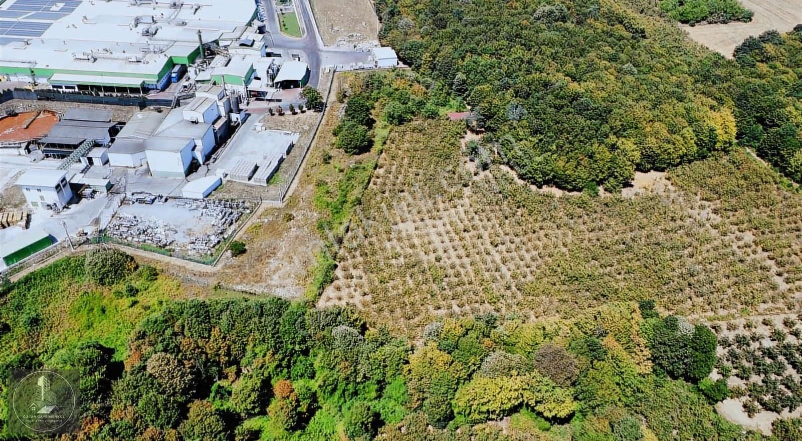 Söğütlü Organize Sanayi Bölgesi Yanı 12.600 M2 Arsa - Görsel 11