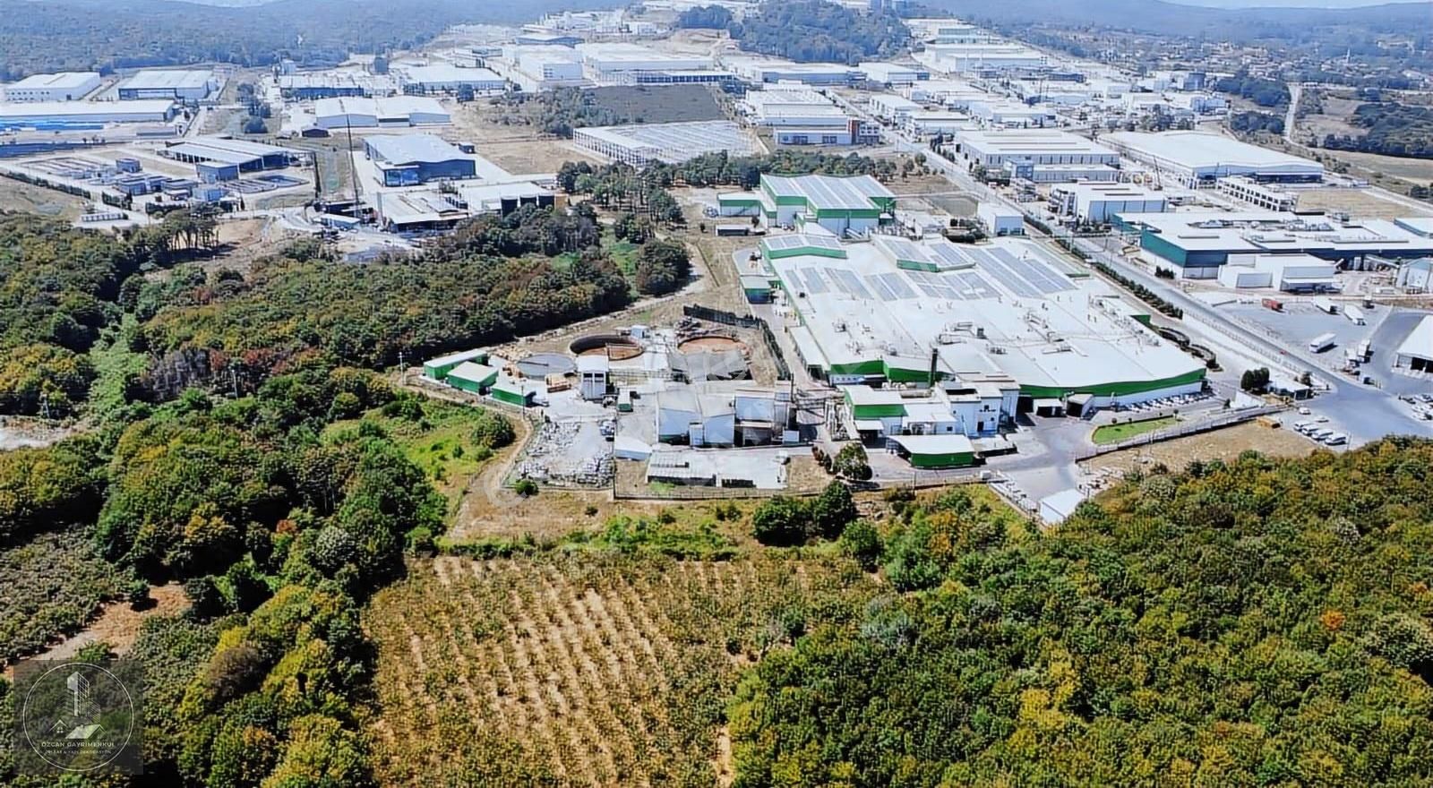 Söğütlü Organize Sanayi Bölgesi Yanı 12.600 M2 Arsa - Görsel 6
