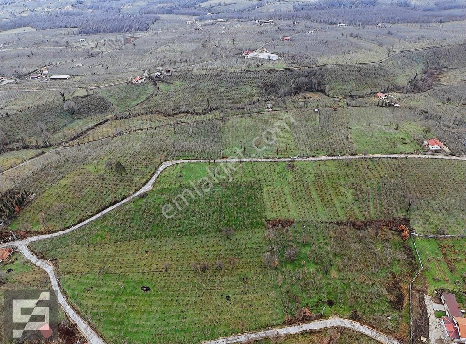 Sancak Emlak'tan Satılık Arsa - Görsel 2