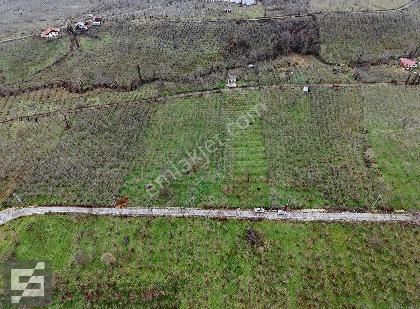 Sancak Emlak'tan Satılık Arsa - Görsel 15