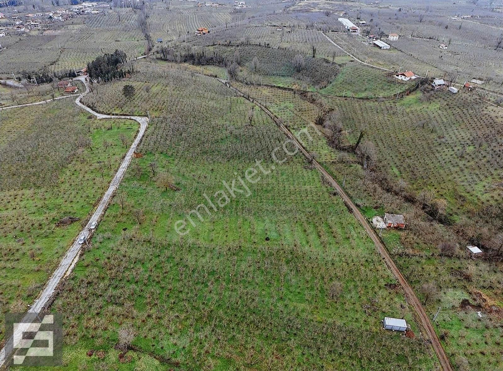 Sancak Emlak'tan Satılık Arsa - Görsel 13