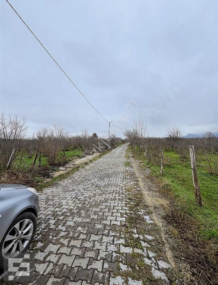 Sancak Emlak'tan Satılık Arsa - Görsel 9