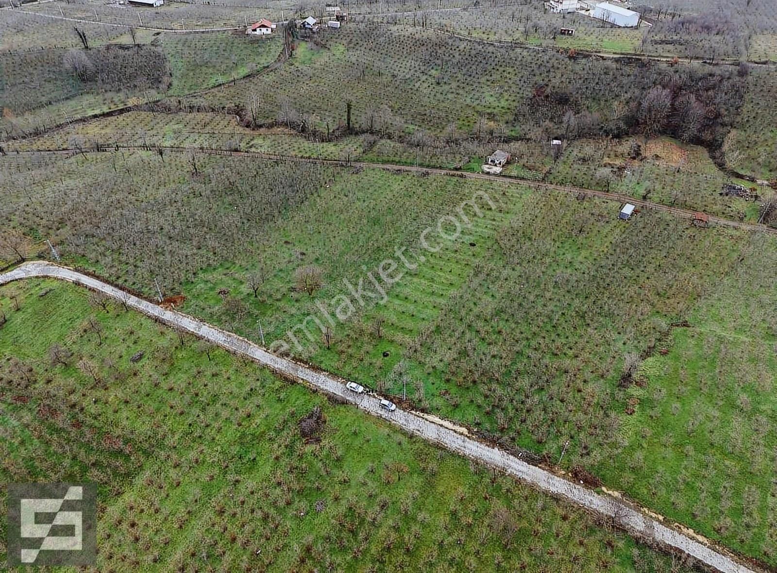 Sancak Emlak'tan Satılık Arsa - Görsel 3