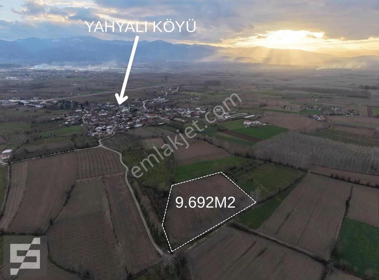 Sancak Emlak'tan Yahyalıda Köy İçinde Satılık Tarla - Görsel 2