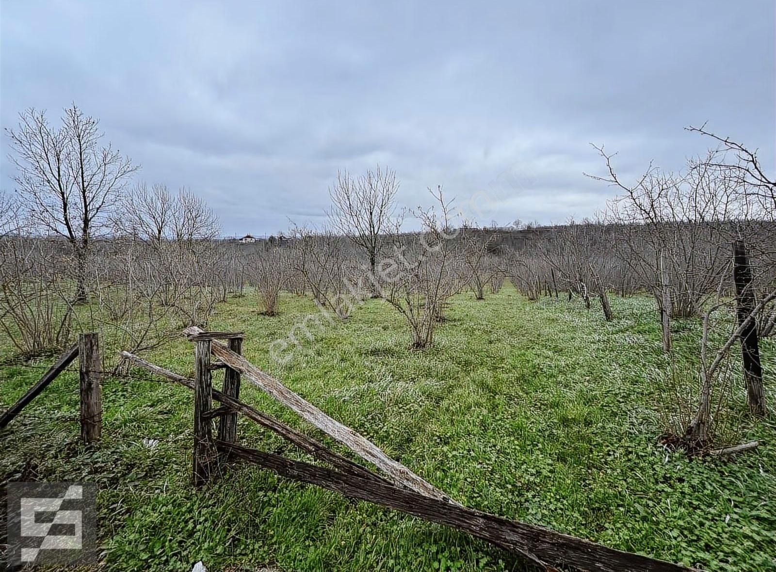Sancak Emlak'tan Satılık Arazi - Görsel 10