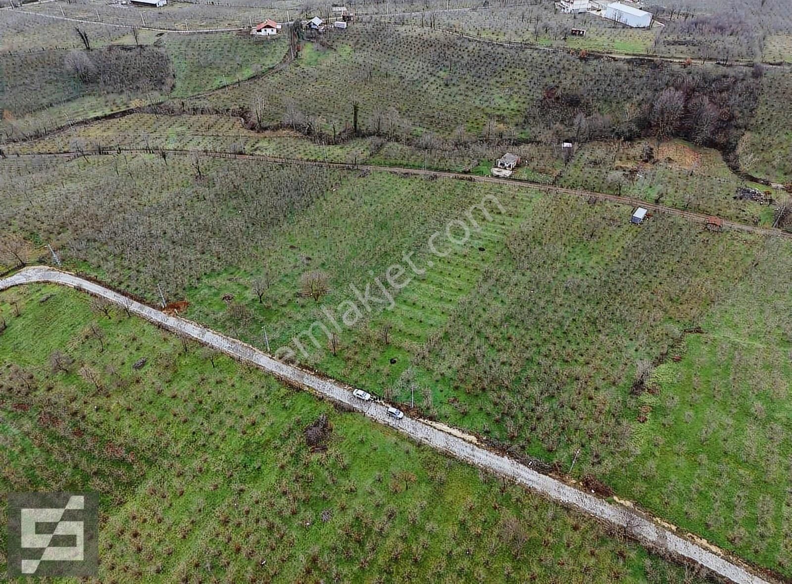 Sancak Emlak'tan Satılık Arazi - Görsel 2