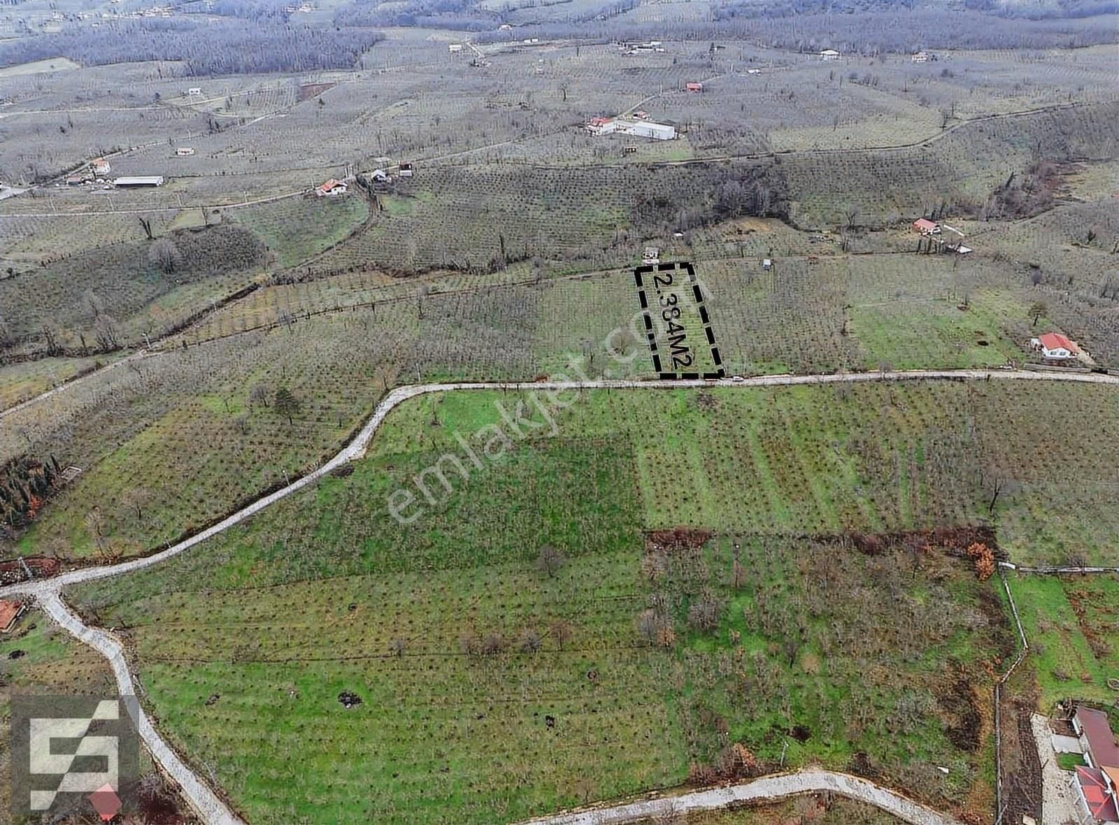 Sancak Emlak'tan Satılık Arazi - Görsel 6