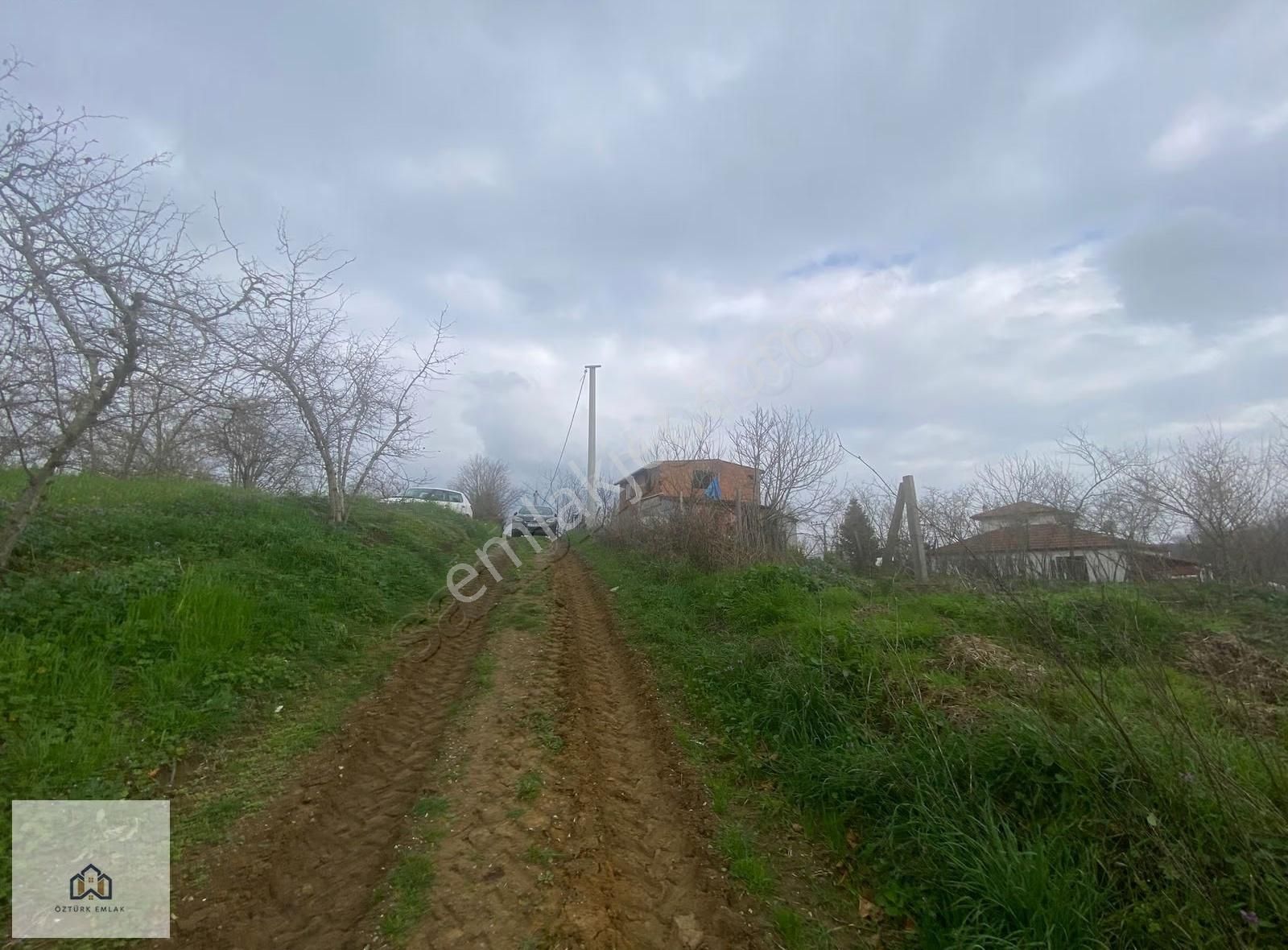 Sakarya Ferizli Nalköyde 5517m2 Kadastro Yollu Fındık Bahçesi - Görsel 2